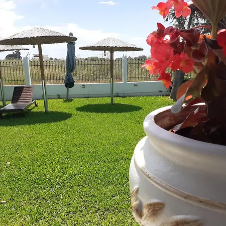 Dom wakacyjny Eleni's House For Vacation Nea Plagia